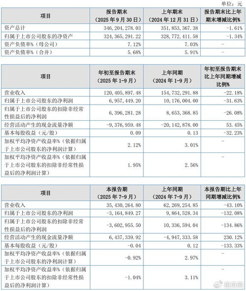 聯迪信息2025年第三季度凈虧損316.48萬元，內銷收入下滑拖累業績